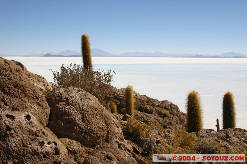 Isla Pescado (or Incahuasi)
