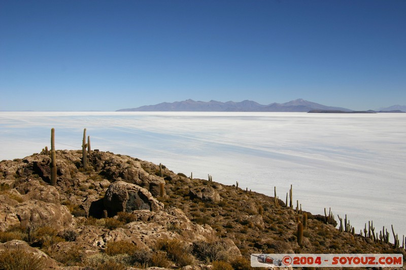 Isla Pescado (or Incahuasi)
