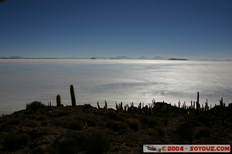 Isla Pescado (or Incahuasi)
