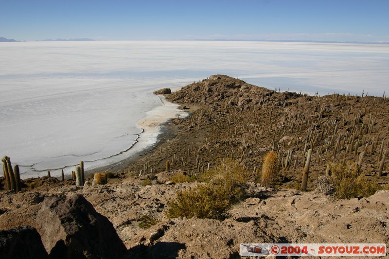 Isla Pescado (or Incahuasi)
