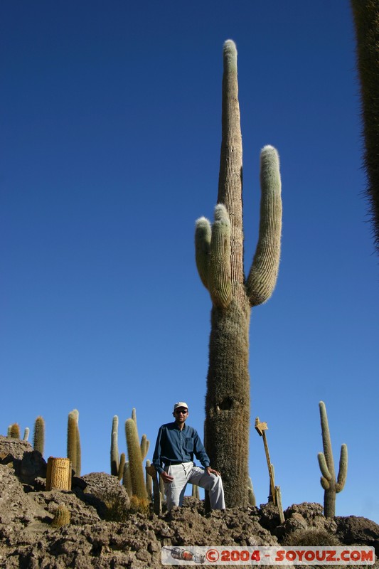 Isla Pescado - Cardons (cactus)
Mots-clés: plante cactus