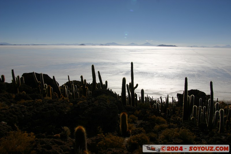 Isla Pescado (or Incahuasi)
