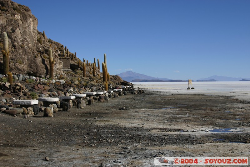 Isla Pescado (or Incahuasi)
