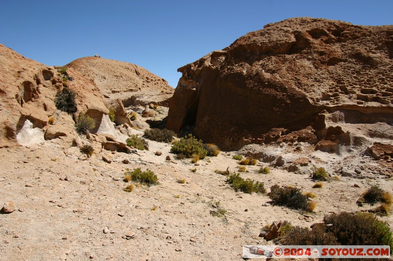 zone du Volcan Ollague
