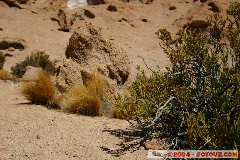 zone du Volcan Ollague
