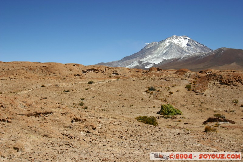 Volcan Ollague
