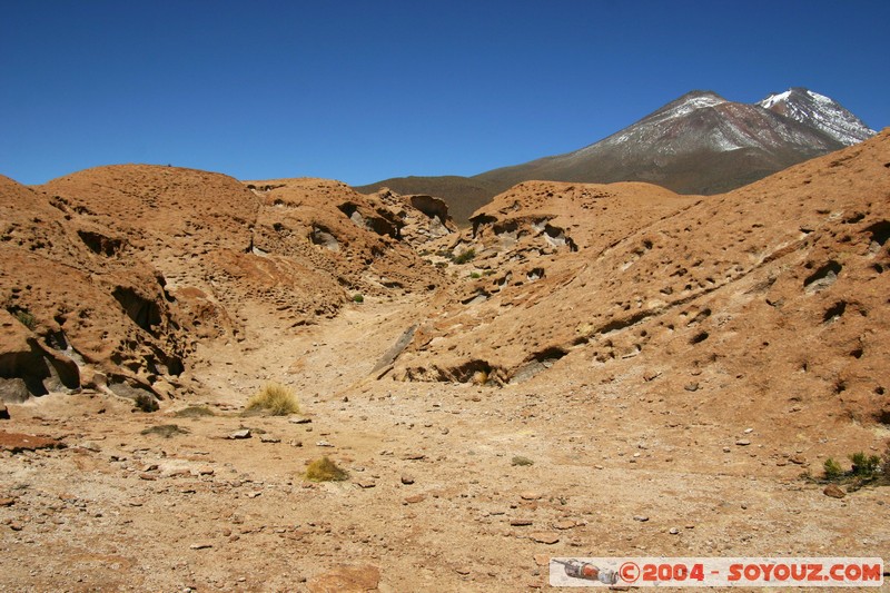 zone du Volcan Ollague
