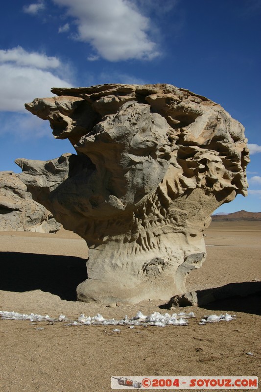 Desierto de Siloli - Arbol de Piedra
