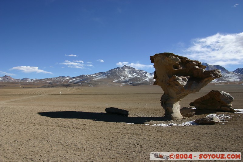 Desierto de Siloli - Arbol de Piedra
