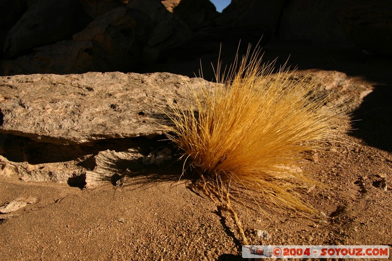 Desierto de Siloli
