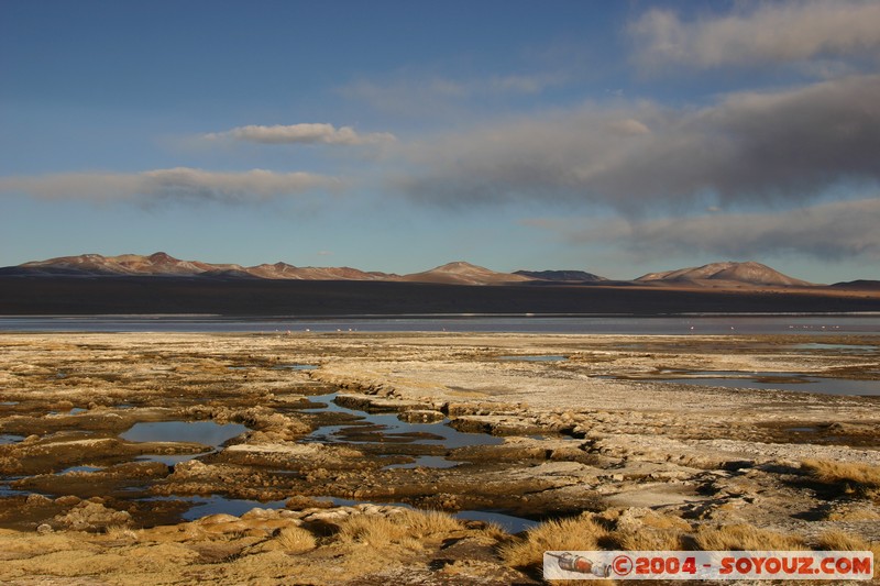 Laguna Colorada
