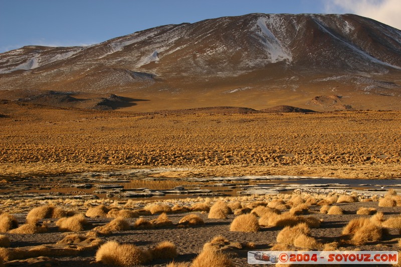 Laguna Colorada - volcan Jorcada
Mots-clés: volcan