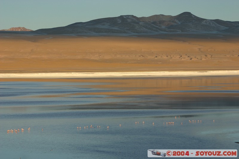 Laguna Colorada
Mots-clés: sunset