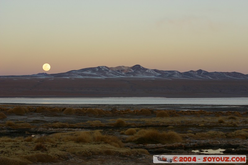 Laguna Colorada - Lever de Lune
Mots-clés: Nuit Lune