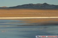 IMG_1290.jpg