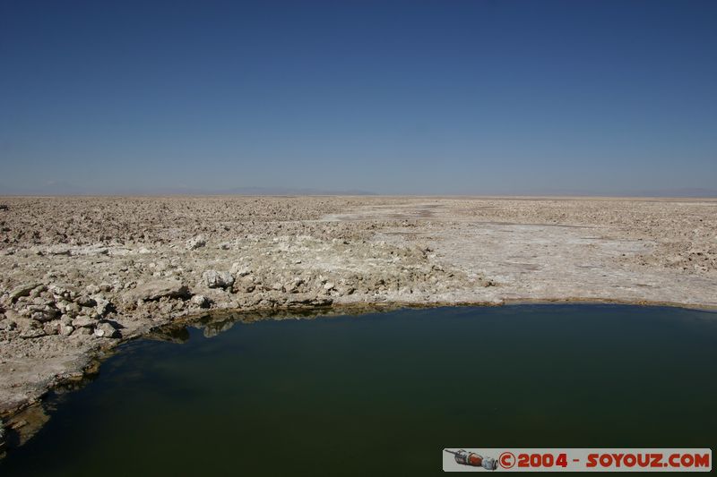 Salar de Atacama - Laguna Chaxa
Mots-clés: chile