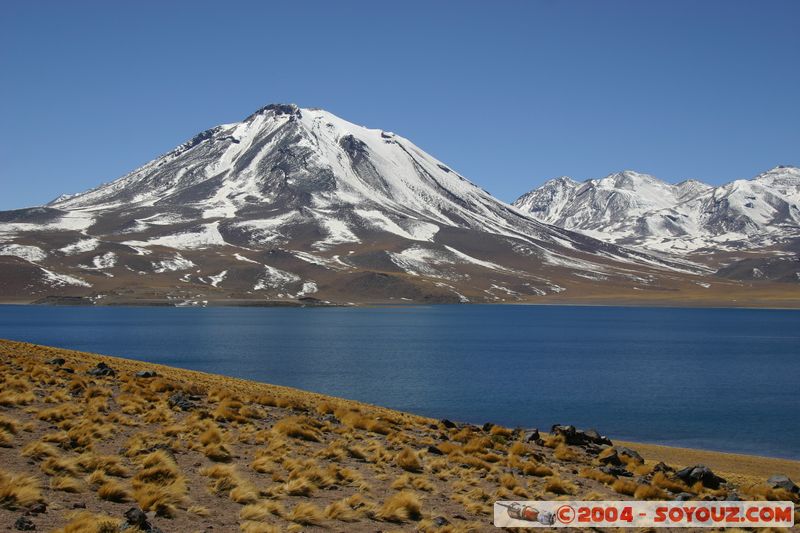 Reserva Nacional Los Flamencos - Laguna Miscanti - Volcan Miscanti
Mots-clés: chile Lac Montagne volcan