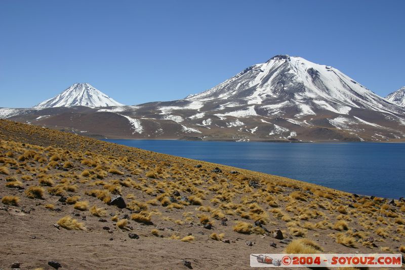 Reserva Nacional Los Flamencos - Laguna Miscanti - Volcan Miscanti
Mots-clés: chile Lac Montagne volcan