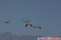 IMG_1642.JPG
