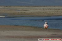 IMG_1659.JPG