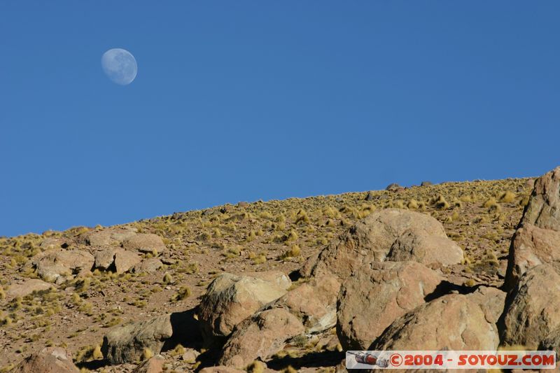 Los Geiseres del Tatio - Coucher de Lune
Mots-clés: chile Lune