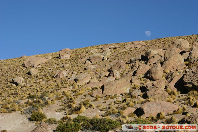 Los Geiseres del Tatio - Coucher de Lune
Mots-clés: chile Lune