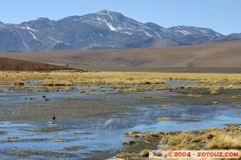 El Tatio - Machuca
Mots-clés: chile