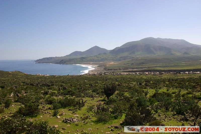 Caleta Los Hornos
Mots-clés: chile