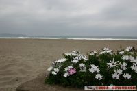 IMG_1878.JPG