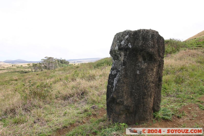 Ile de Paques - Rano Raraku - Carriere des moai
Mots-clés: chile Ile de Paques Easter Island patrimoine unesco Moai animiste sculpture