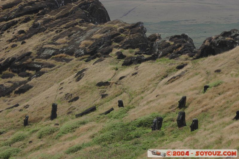 Ile de Paques - Rano Raraku - Moai
Mots-clés: chile Ile de Paques Easter Island patrimoine unesco volcan Moai animiste sculpture