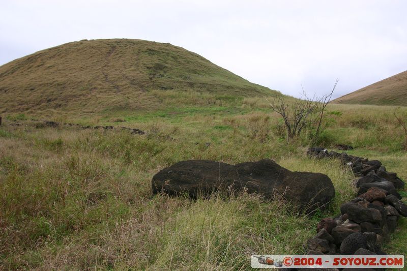 Ile de Paques - Anakena - Moai
Mots-clés: chile Ile de Paques Easter Island patrimoine unesco Moai animiste sculpture