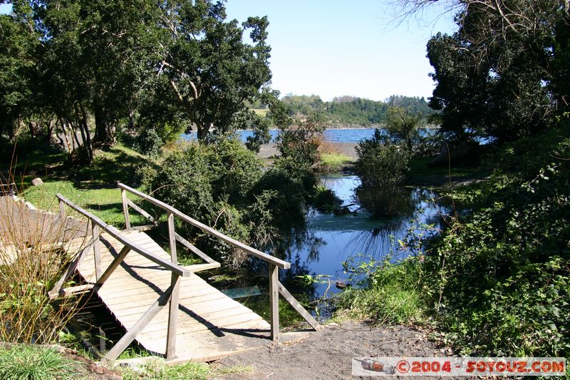 Pucon
Mots-clés: chile Pont