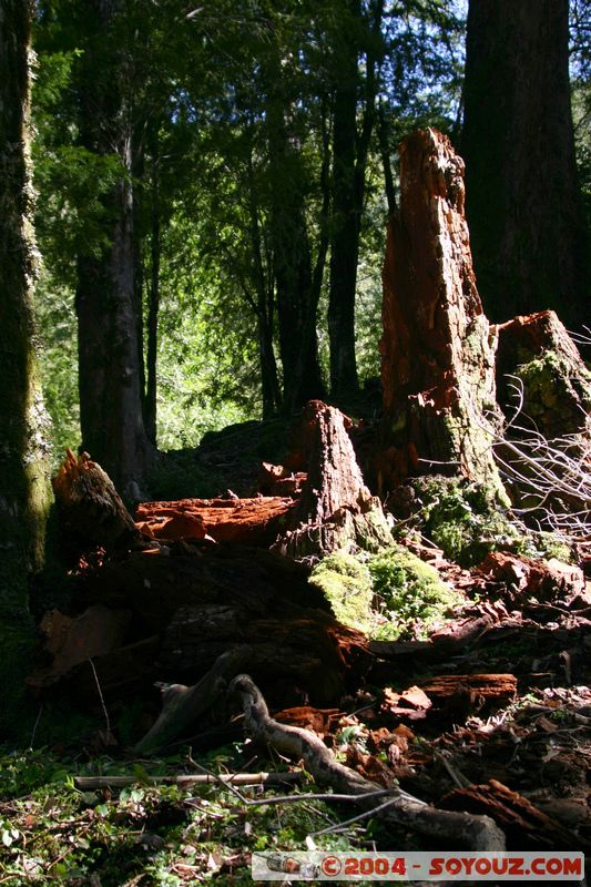 Parque Nacional Huerquehue
Mots-clés: chile