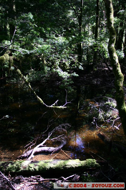 Parque Nacional Huerquehue
Mots-clés: chile