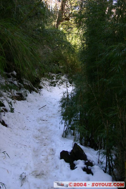 Parque Nacional Huerquehue
Mots-clés: chile Neige