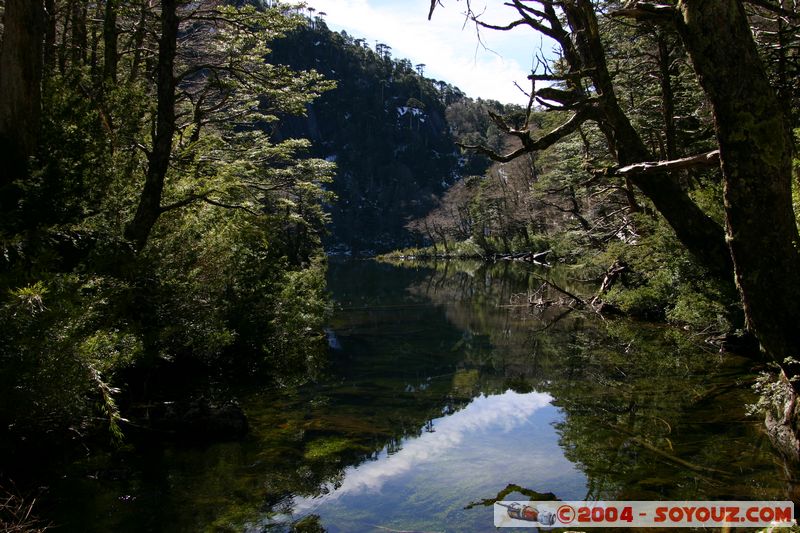 Parque Nacional Huerquehue - Lago Chico
Mots-clés: chile Lac Arbres