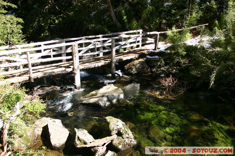 Parque Nacional Huerquehue - Lago Chico
Mots-clés: chile Pont Lac Arbres