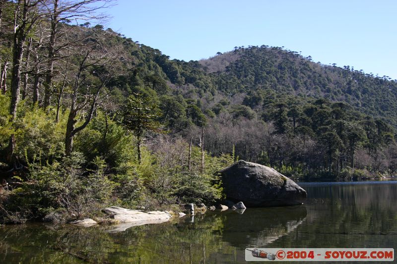 Parque Nacional Huerquehue - Lago Verde
Mots-clés: chile Arbres