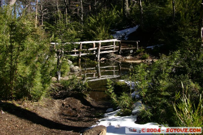 Parque Nacional Huerquehue - Lago Verde
Mots-clés: chile Pont