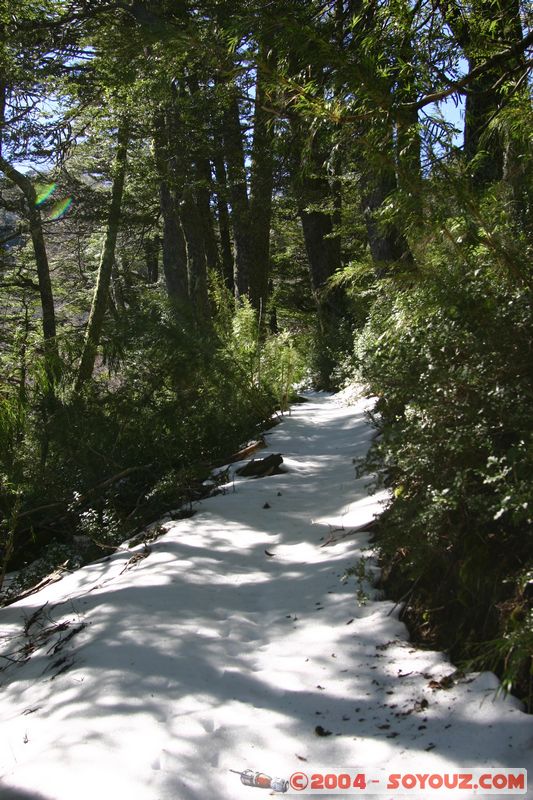 Parque Nacional Huerquehue - Lago Chico
Mots-clés: chile Neige