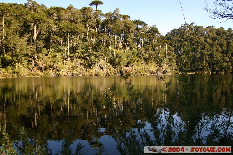 Parque Nacional Huerquehue - Lago El Toro
Mots-clés: chile Lac