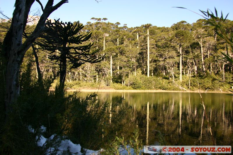 Parque Nacional Huerquehue - Lago El Toro
Mots-clés: chile Lac