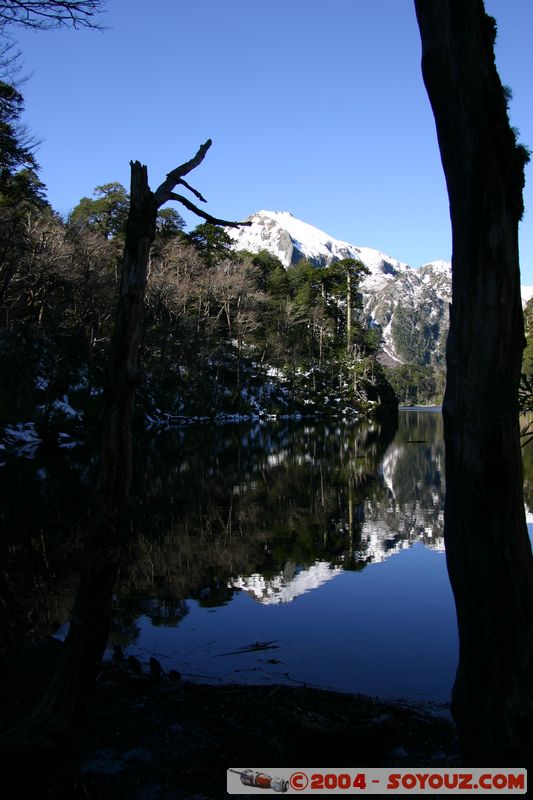 Parque Nacional Huerquehue - Lago El Toro
Mots-clés: chile Montagne Lac Arbres