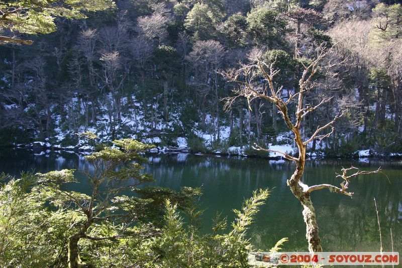 Parque Nacional Huerquehue - Lago Chico
Mots-clés: chile