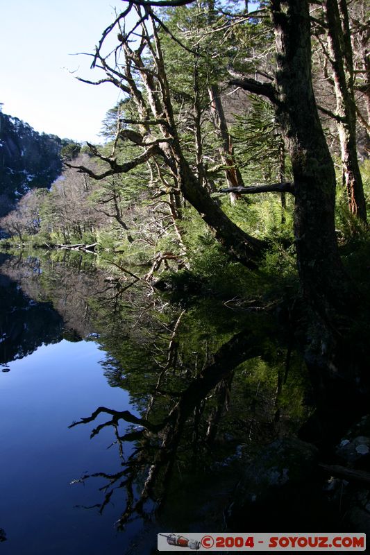 Parque Nacional Huerquehue - Lago Chico
Mots-clés: chile