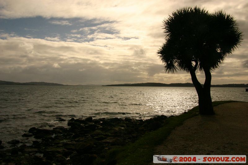 Ancud
Mots-clés: chile mer