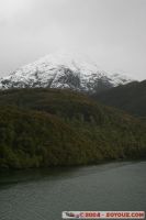 IMG_3231.JPG