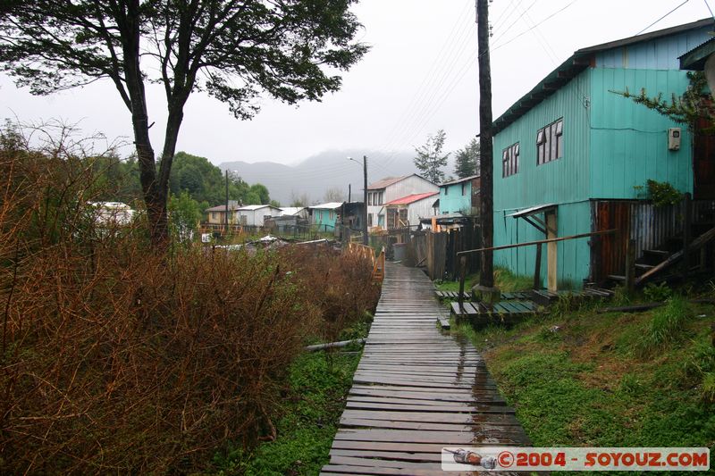 Canales Patagonicos - Puerto Eden
Mots-clés: chile