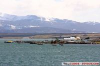 IMG_3311.JPG